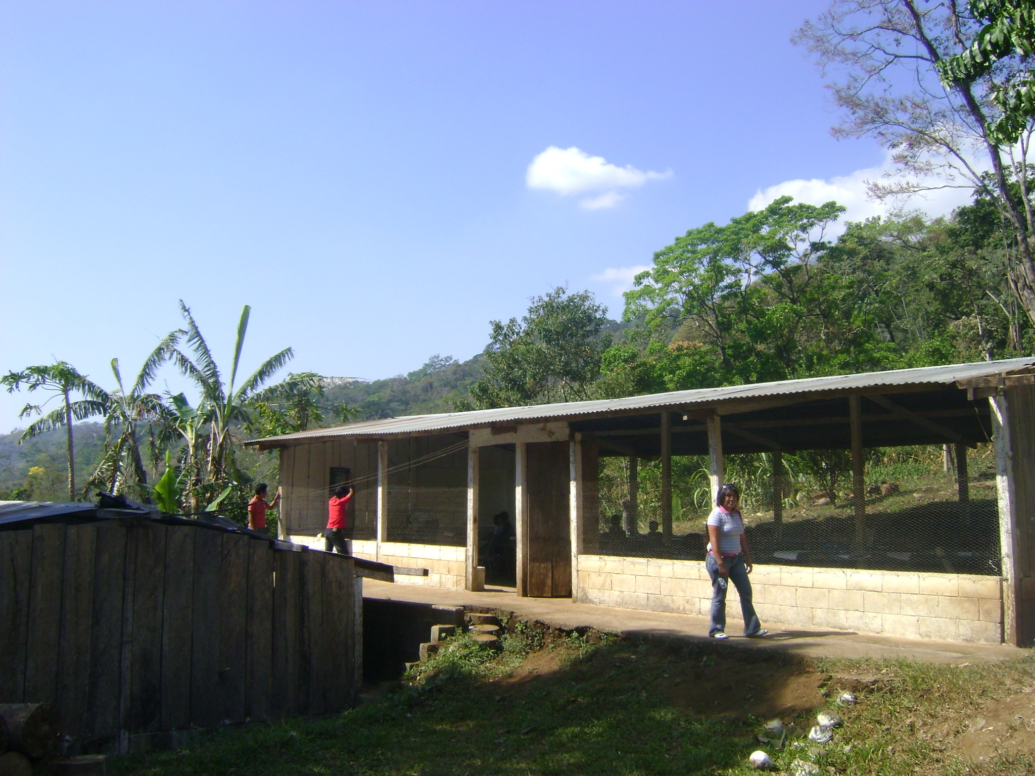 From chicken coop to a real school