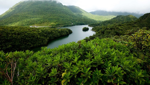 FFP in Dominica